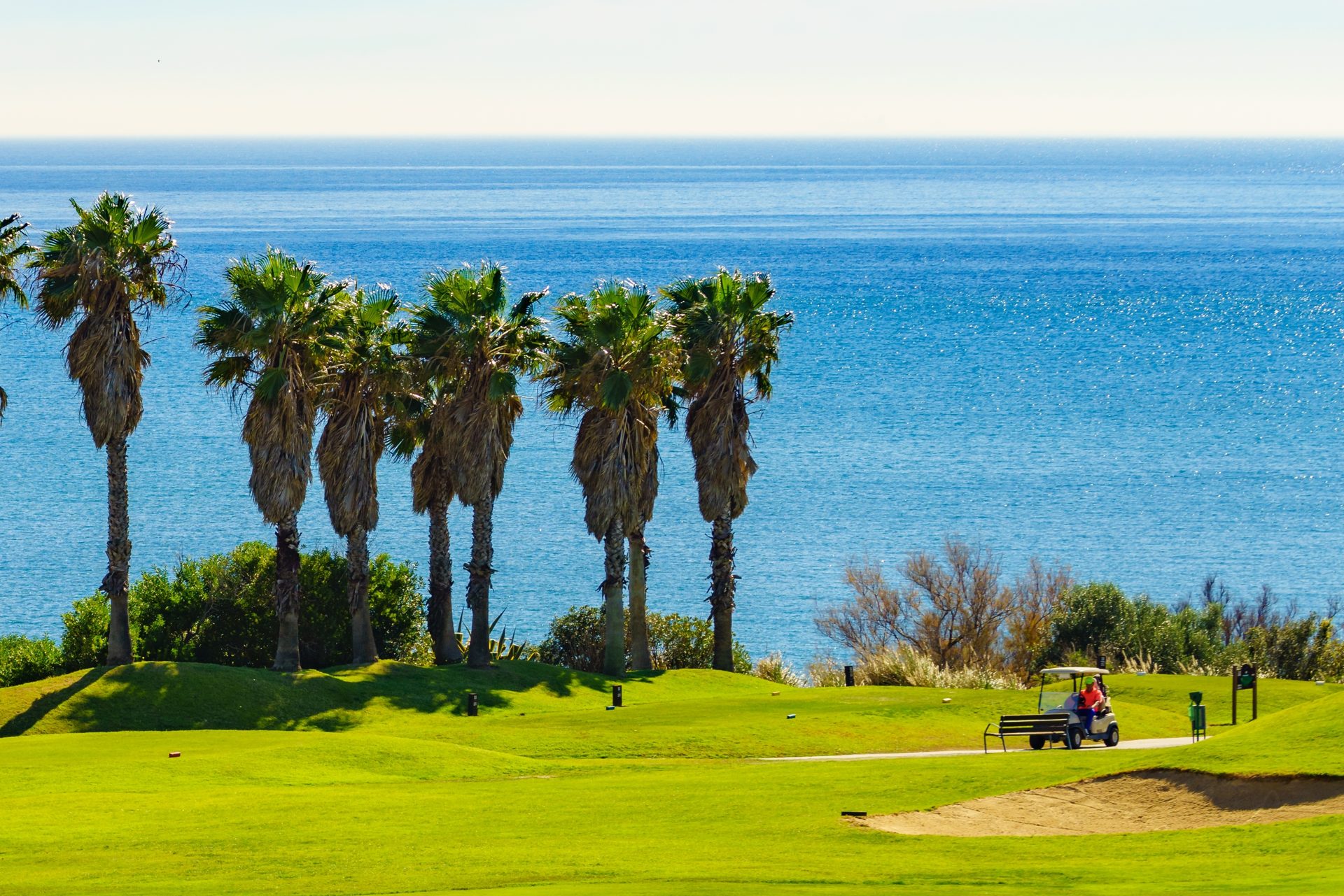 Luxurious golf course room with ocean view, featuring palm trees and a golf cart.